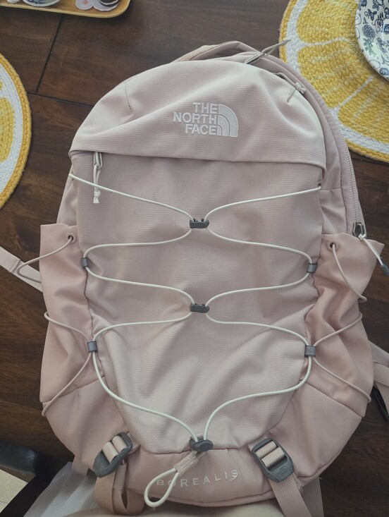 The North Face Handbags - The North Face Light Pink Backpack